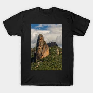 Belougery Spire T-Shirt